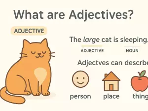 What Are Adjectives? Complete Definition