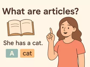 What Are Articles? Core Theory