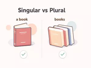 Articles with Singular and Plural Nouns: Basic Patterns