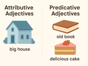 Attributive vs Predicative Adjectives