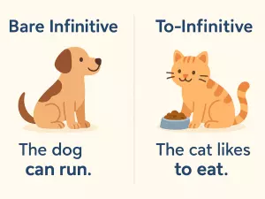 Bare Infinitive vs To-Infinitive: Theoretical Rules