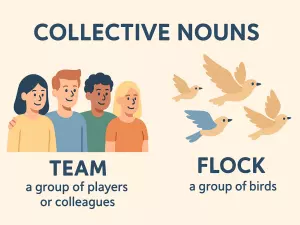 Collective Nouns: Theory and Examples