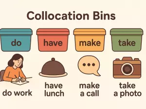 Collocation Bins: do / have / make / take + noun patterns