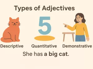 Types of Adjectives: Descriptive, Quantitative, Demonstrative