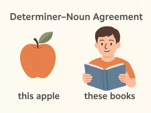 Determiner–Noun Agreement Rules