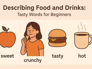 Describing Food and Drinks: Tasty Words for Beginners