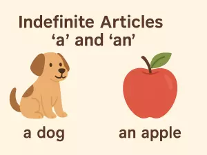 Indefinite Articles “a” and “an”: Grammar Theory