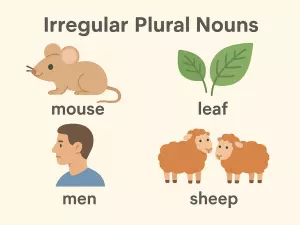 Irregular Plural Nouns: Theoretical Guide