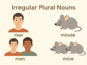 Irregular Plural Nouns: Complete List and Easy Rules