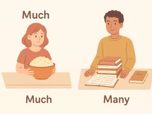 Much vs Many: Beginner Grammar Guide