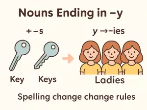 Nouns Ending in -y: Simple Spelling Change Rules