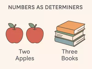Numbers as Determiners: Two Apples, Three Books