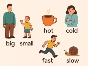 Opposite Adjectives: Big/Small, Hot/Cold, Fast/Slow