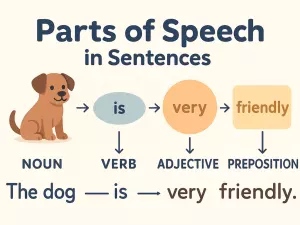How Parts of Speech Interact in Sentences