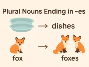 Plural Nouns Ending in -es: How to Spell Them Correctly