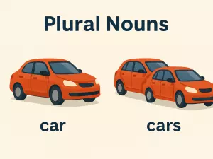 Plural Nouns: Basic Rules and Common Irregulars