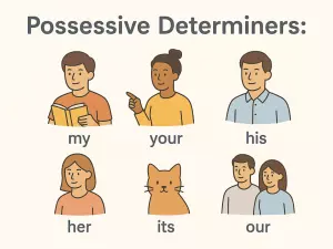Possessive Determiners: my, your, his, her, its, our, their