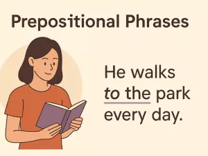 Prepositional Phrases: Structure and Function
