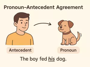 Pronoun–Antecedent Agreement Rules
