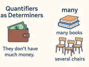 Quantifiers as Determiners: Much, Many, Several
