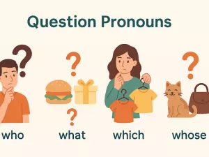 Question Pronouns: Who, What, Which, Whose Explained