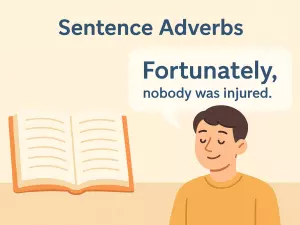 Sentence Adverbs: Commenting on the Whole Clause