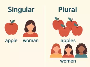Singular vs Plural Nouns: Clear Rules and Common Confusions