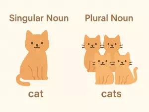 Singular and Plural Nouns: General Rules