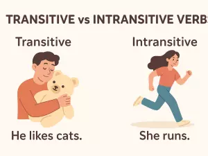 Transitive vs Intransitive Verbs: Easy Rules and Examples