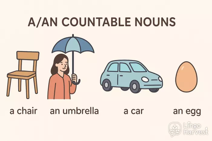 a an countable nouns