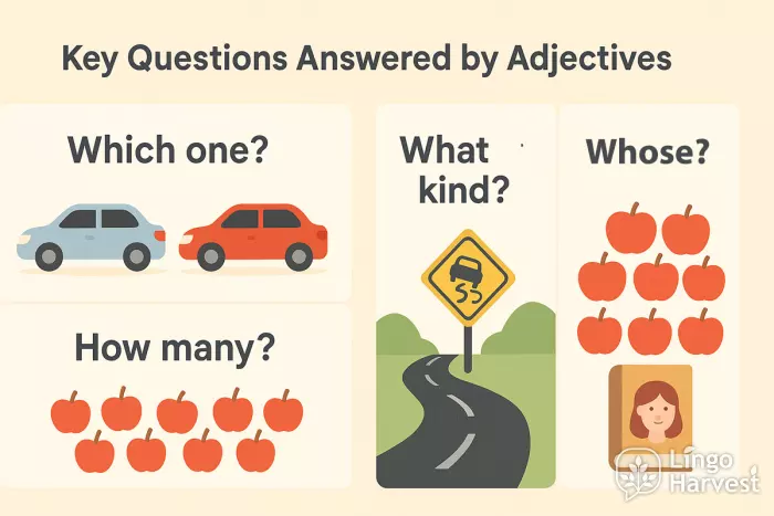 adjectives key questions