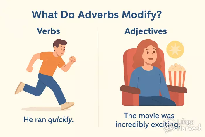 adverbs modify verbs adjectives