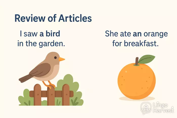 articles a an bird orange