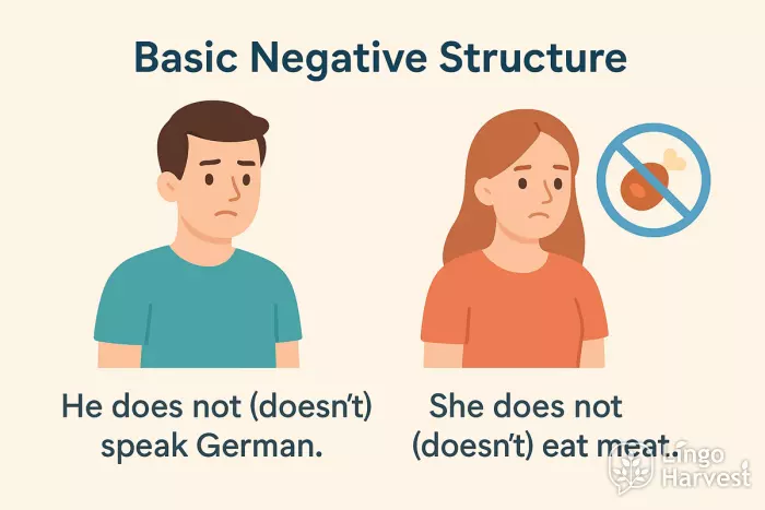 basic negative structure examples