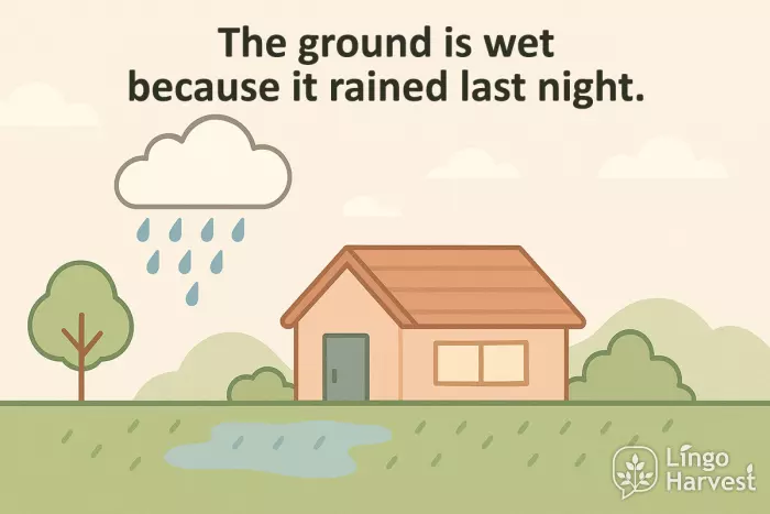because rain wet ground