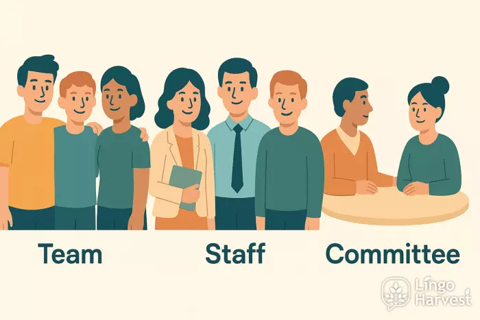 collective nouns team staff committee