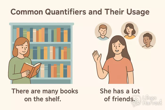 common quantifiers books friends