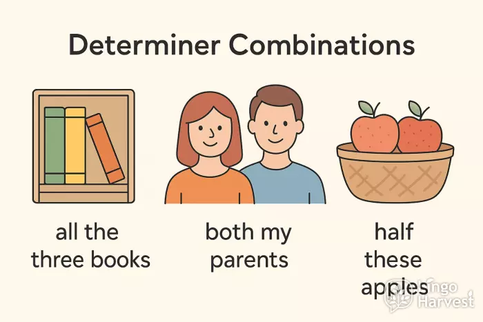 determiner combinations books parents apples