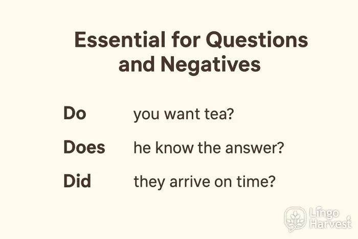 do does did questions chart