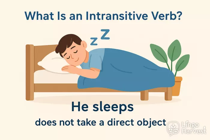 intransitive verb example