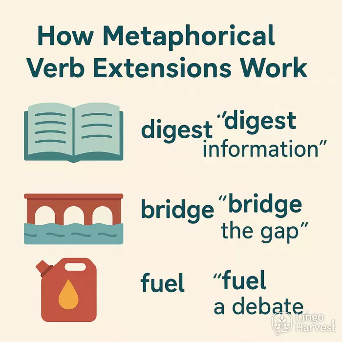 metaphorical verb extensions digest bridge fuel
