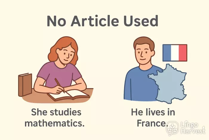 no article mathematics france
