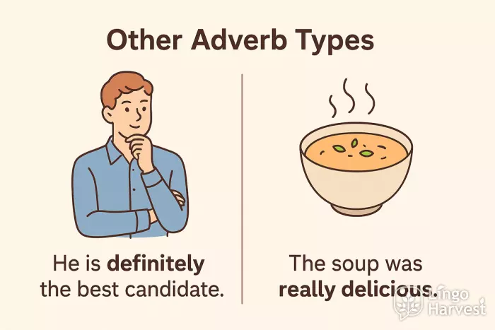 other adverb types examples