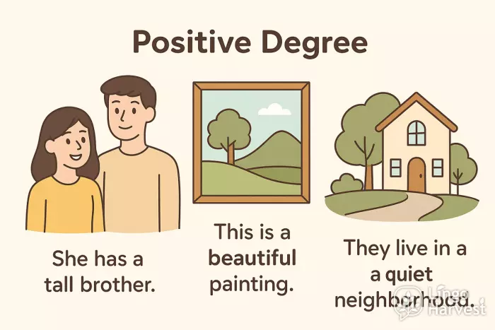 positive degree tall beautiful quiet