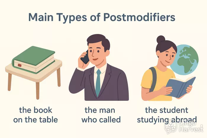 postmodifiers book man student