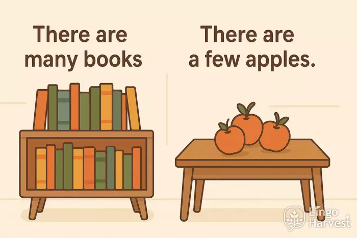 quantifiers many books apples