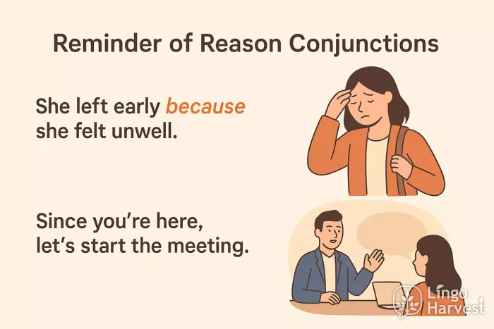 reason conjunctions because since examples