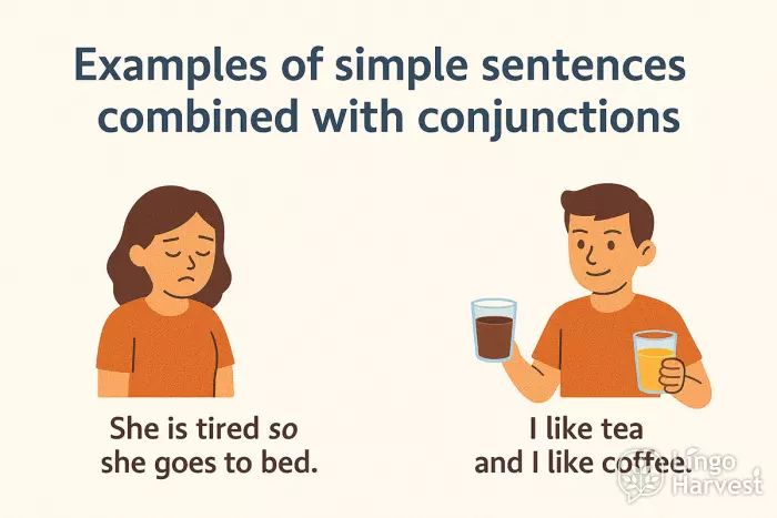 simple sentences with conjunctions examples