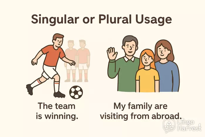 singular plural usage nouns