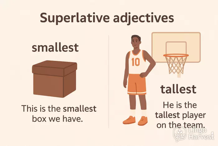superlative adjectives smallest tallest examples